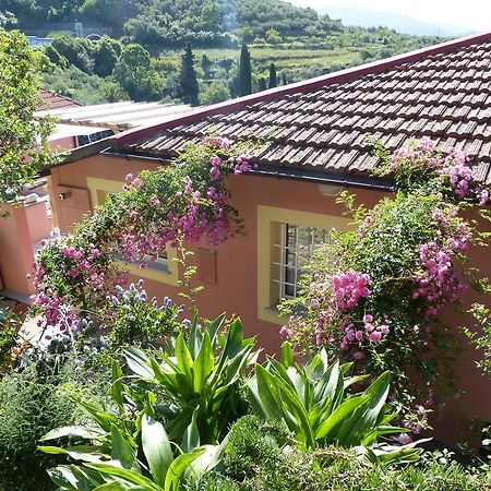 קיאברי Belvedere Lodge מראה חיצוני תמונה